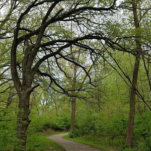 Meet your Posher, Cy